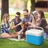 Fresh-Keeping 5L Portable Outdoor Camping & Picnic Cooler Bin