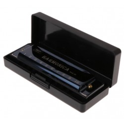 10 Hole Diatonic Harmonica