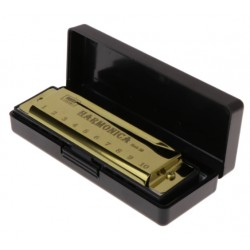 10 Hole Diatonic Harmonica