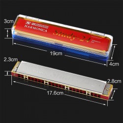 24 Hole Tremolo Harmonica